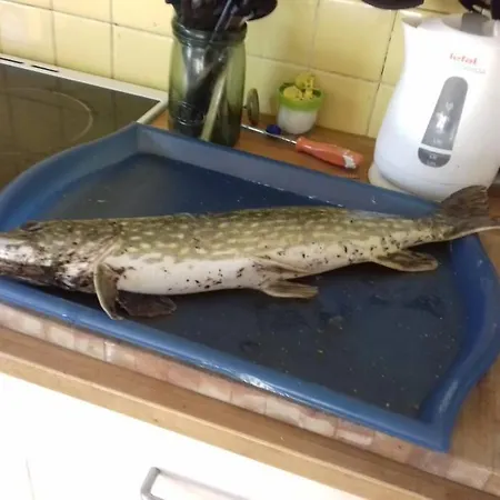 Semesterbostad Tranquillitude Au Moulin Bouquet La Chapelle-aux-Chasses