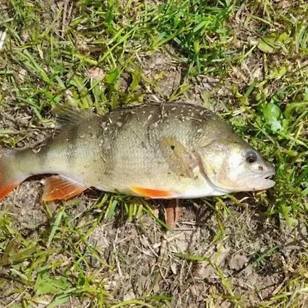 Semesterbostad Tranquillitude Au Moulin Bouquet *