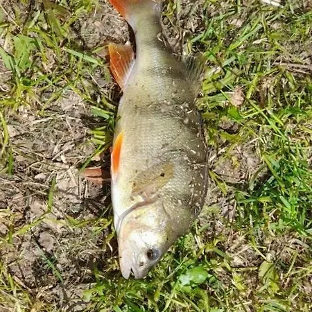 Tranquillitude Au Moulin Bouquet Semesterbostad La Chapelle-aux-Chasses